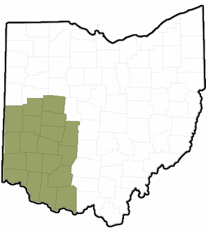 Southwest Southwest